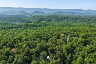 272 Willow Ln, Mount Jackson, VA 22842 - Photo 34