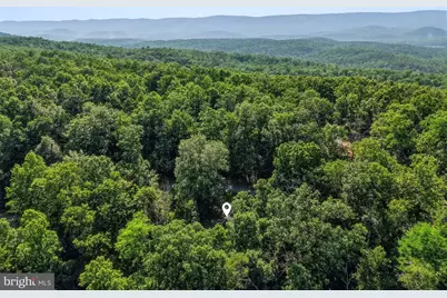 272 Willow Lane, Mount Jackson, VA 22842 - Photo 40