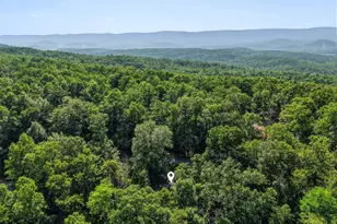 272 Willow Ln, Mount Jackson, VA 22842 - Photo 40