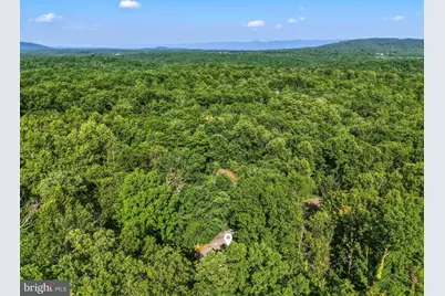 272 Willow Lane, Mount Jackson, VA 22842 - Photo 42