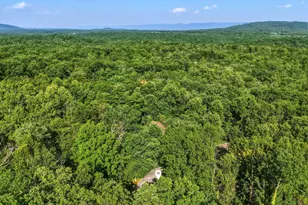 272 Willow Ln, Mount Jackson, VA 22842 - Photo 42