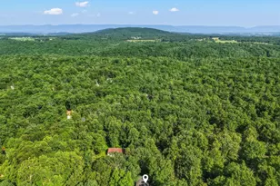 272 Willow Ln, Mount Jackson, VA 22842 - Photo 36