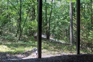141 Mallard Dr, Basye, VA 22810 - Photo 28