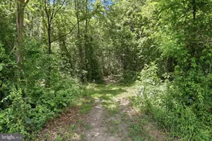 1511 Boliver Rd, Fort Valley, VA 22652 - Photo 46