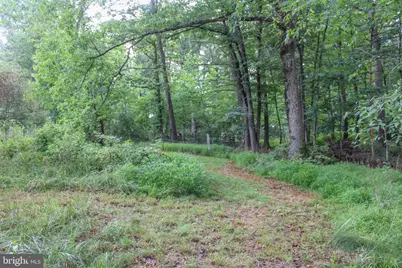 4547 Alum Springs Road, Edinburg, VA 22824 - Photo 48