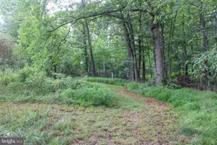 4547 Alum Springs Rd, Edinburg, VA 22824 - Photo 48