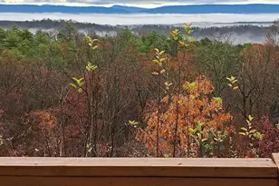 685 N Maple, Mount Jackson, VA 22842 - Photo 64