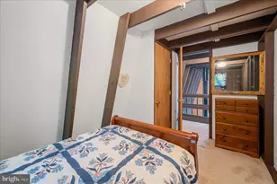 685 N Maple, Mount Jackson, VA 22842 - Photo 30