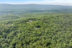 412 Mile Ridge Estate, Strasburg, VA 22641 - Photo 50
