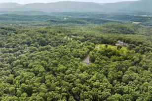 412 Mile Ridge Estate, Strasburg, VA 22641 - Photo 48