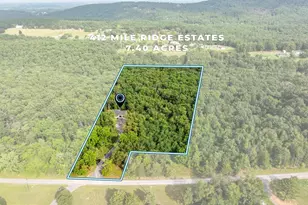 412 Mile Ridge Estate, Strasburg, VA 22641 - Photo 46