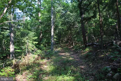 317 Vale Vista Drive, Edinburg, VA 22824 - Photo 70