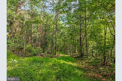 317 Vale Vista Drive, Edinburg, VA 22824 - Photo 68
