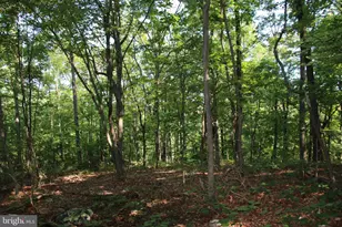 317 Vale Vista Dr, Edinburg, VA 22824 - Photo 82