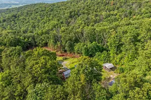 317 Vale Vista Dr, Edinburg, VA 22824 - Photo 60