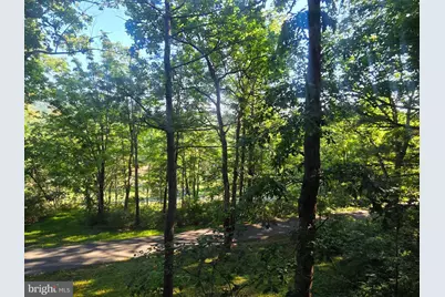 361 The Hill, Basye, VA 22810 - Photo 20