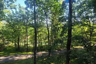 361 The Hill, Basye, VA 22810 - Photo 20
