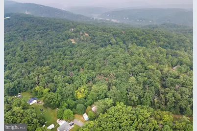 5111 Crooked Run Road, Mount Jackson, VA 22842 - Photo 12