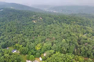 5111 Crooked Run Rd, Mount Jackson, VA 22842 - Photo 12