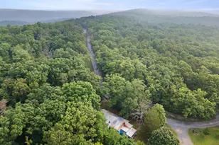 5111 Crooked Run Rd, Mount Jackson, VA 22842 - Photo 14