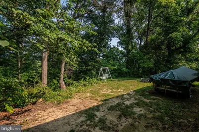 55 Lake Drive, Edinburg, VA 22824 - Photo 68