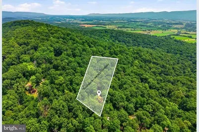 460 Hilltop Lane, Mount Jackson, VA 22842 - Photo 6