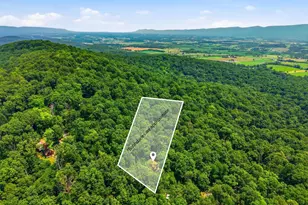 460 Hilltop Ln, Mount Jackson, VA 22842 - Photo 6