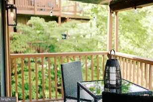 140 The Hill, Basye, VA 22810 - Photo 36