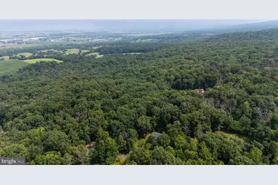 1077 Fleming Park Road, Mount Jackson, VA 22842 - Photo 42
