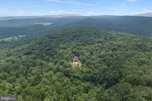 1311 Hepner Rd, Mount Jackson, VA 22842 - Photo 46