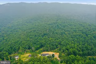 4111 Moreland Gap Rd, New Market, VA 22844 - Photo 44