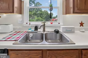 10727 Old Valley Pike, Mount Jackson, VA 22842 - Photo 14