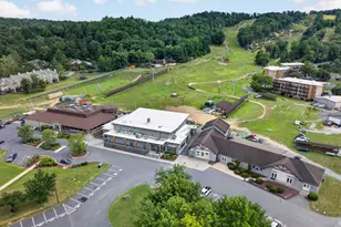213 Morrie Dr, Basye, VA 22810 - Photo 42