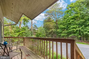 452 Spitz Ln B Ln, Basye, VA 22810 - Photo 40