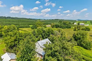 242 Solomon's Church Rd, Quicksburg, VA 22847 - Photo 48