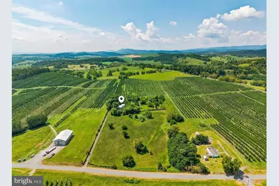242 Solomons Church Road, Quicksburg, VA 22847 - Photo 46