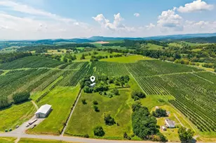 242 Solomon's Church Rd, Quicksburg, VA 22847 - Photo 46