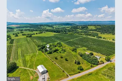 242 Solomons Church Road, Quicksburg, VA 22847 - Photo 50