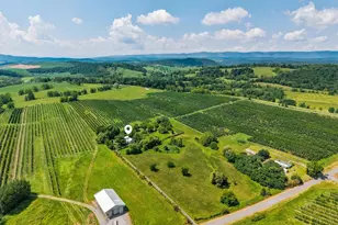 242 Solomon's Church Rd, Quicksburg, VA 22847 - Photo 50