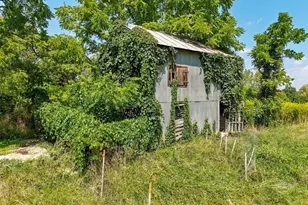 242 Solomon's Church Rd, Quicksburg, VA 22847 - Photo 54