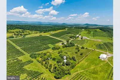 242 Solomons Church Road, Quicksburg, VA 22847 - Photo 52