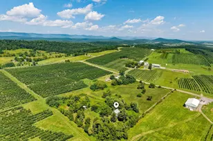 242 Solomon's Church Rd, Quicksburg, VA 22847 - Photo 52