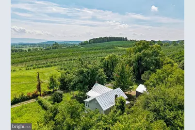 242 Solomons Church Road, Quicksburg, VA 22847 - Photo 12