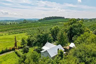 242 Solomon's Church Rd, Quicksburg, VA 22847 - Photo 12