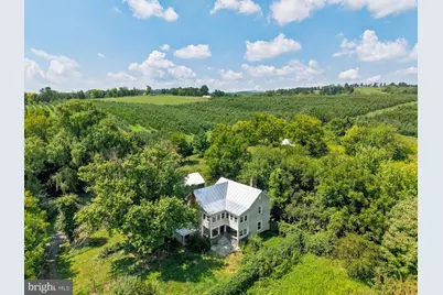 242 Solomons Church Road, Quicksburg, VA 22847 - Photo 8