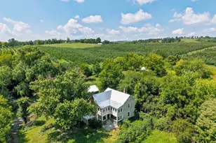 242 Solomon's Church Rd, Quicksburg, VA 22847 - Photo 8