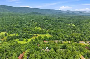 329 The Hill Rd, Basye, VA 22810 - Photo 42