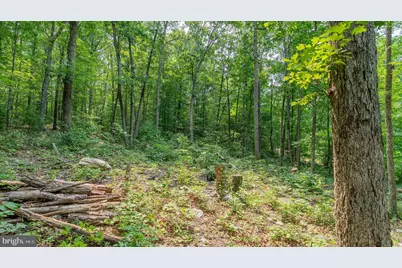 Tbd Dogwood Drive, New Market, VA 22844 - Photo 16