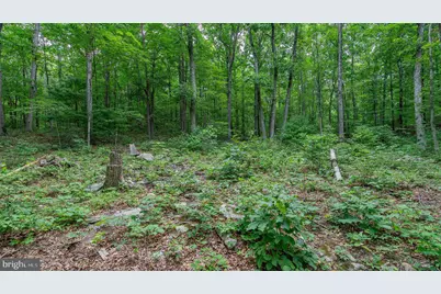 Tbd Dogwood Drive, New Market, VA 22844 - Photo 14