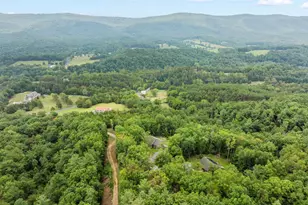 185 Buck Run Ln, Fort Valley, VA 22652 - Photo 30